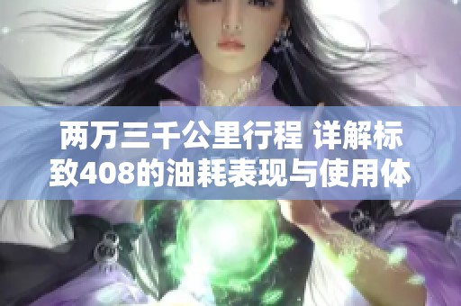 两万三千公里行程 详解标致408的油耗表现与使用体验