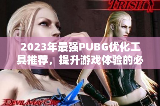 2023年最强PUBG优化工具推荐，提升游戏体验的必备利器