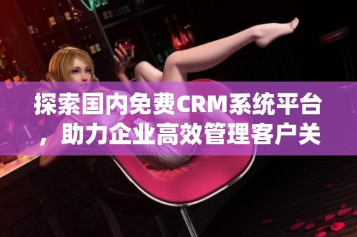 探索国内免费CRM系统平台，助力企业高效管理客户关系