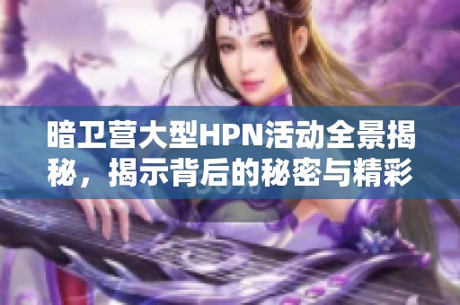 暗卫营大型HPN活动全景揭秘，揭示背后的秘密与精彩瞬间