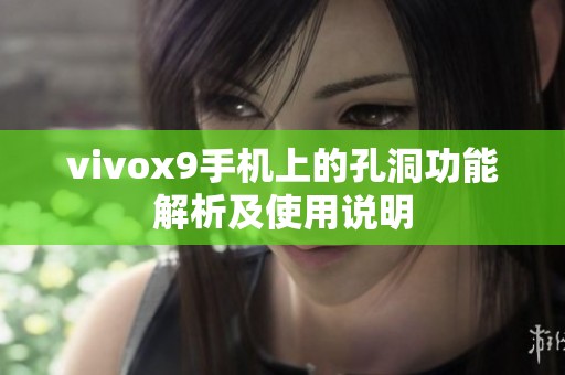 vivox9手机上的孔洞功能解析及使用说明