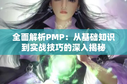 全面解析PMP：从基础知识到实战技巧的深入揭秘