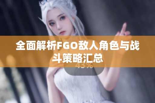 全面解析FGO敌人角色与战斗策略汇总