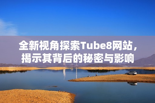 全新视角探索Tube8网站，揭示其背后的秘密与影响