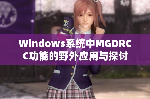 Windows系统中MGDRCC功能的野外应用与探讨