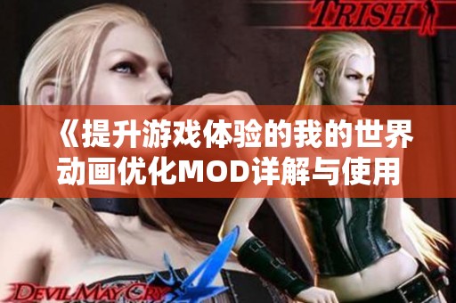 《提升游戏体验的我的世界动画优化MOD详解与使用指南》