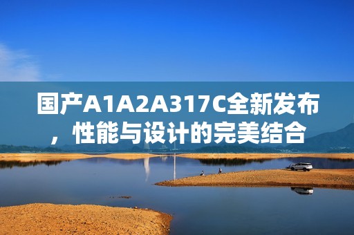 国产A1A2A317C全新发布，性能与设计的完美结合