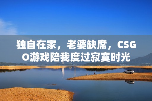 独自在家，老婆缺席，CSGO游戏陪我度过寂寞时光