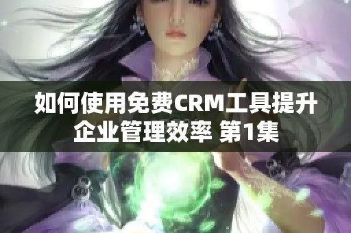 如何使用免费CRM工具提升企业管理效率 第1集