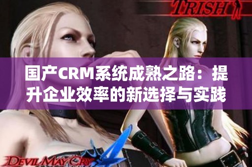 国产CRM系统成熟之路：提升企业效率的新选择与实践