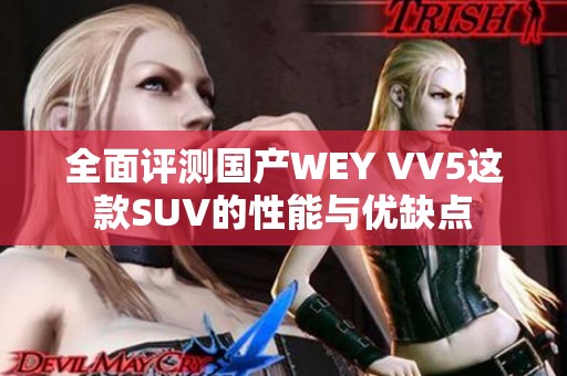 全面评测国产WEY VV5这款SUV的性能与优缺点