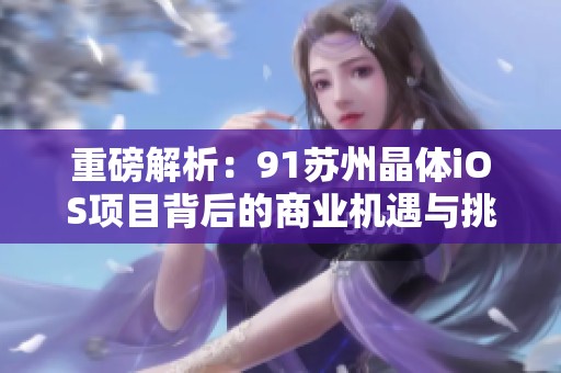 重磅解析：91苏州晶体iOS项目背后的商业机遇与挑战