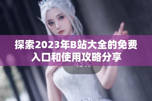 探索2023年B站大全的免费入口和使用攻略分享