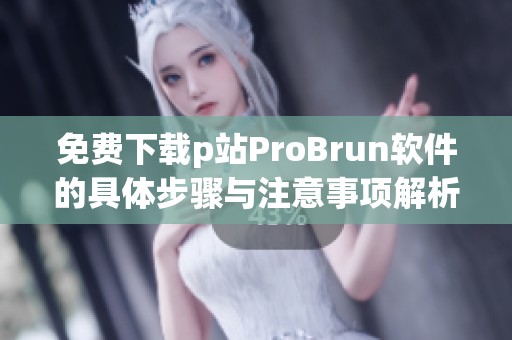 免费下载p站ProBrun软件的具体步骤与注意事项解析