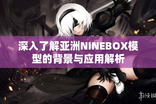 深入了解亚洲NINEBOX模型的背景与应用解析