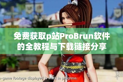 免费获取p站ProBrun软件的全教程与下载链接分享