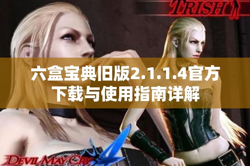 六盒宝典旧版2.1.1.4官方下载与使用指南详解