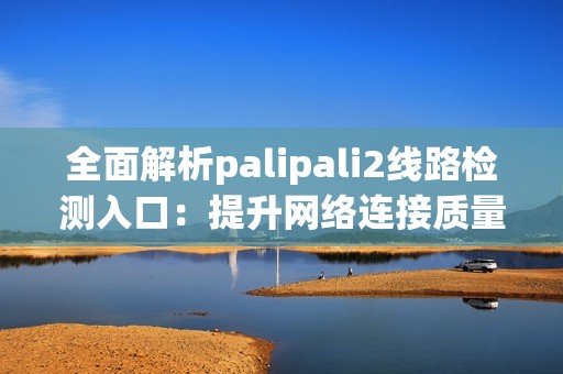 全面解析palipali2线路检测入口：提升网络连接质量的高效方法