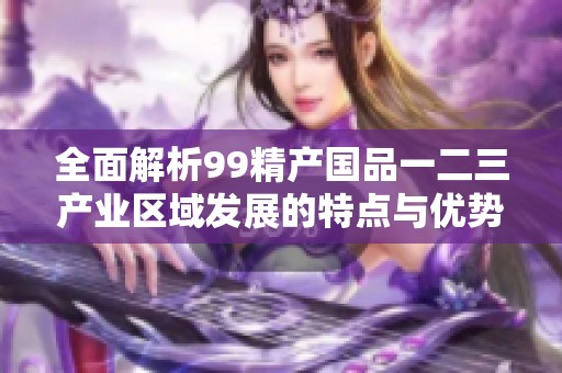 全面解析99精产国品一二三产业区域发展的特点与优势