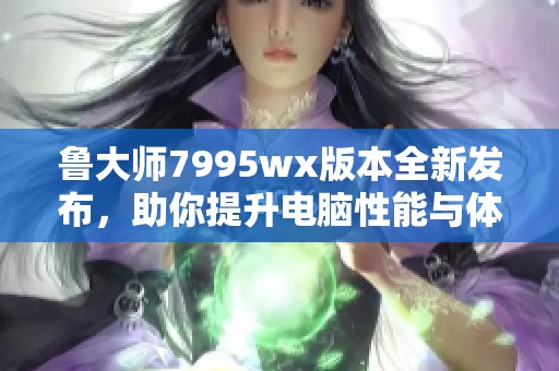 鲁大师7995wx版本全新发布，助你提升电脑性能与体验