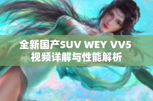 全新国产SUV WEY VV5 视频详解与性能解析