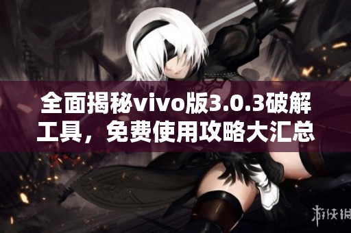 全面揭秘vivo版3.0.3破解工具，免费使用攻略大汇总