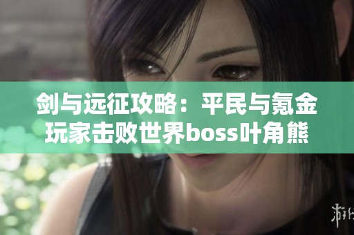 剑与远征攻略：平民与氪金玩家击败世界boss叶角熊王的最佳阵容分享