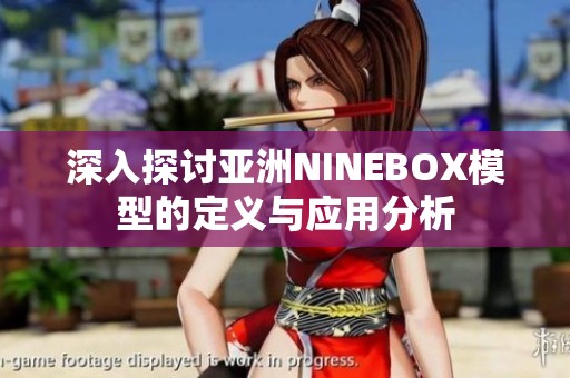 深入探讨亚洲NINEBOX模型的定义与应用分析